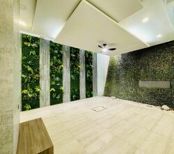 Cairnhill Road (D9), Terrace #499805421